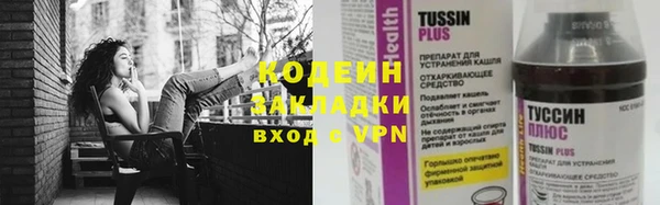 хмурый Арсеньев