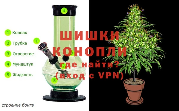 хмурый Арсеньев