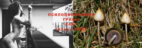хмурый Арсеньев
