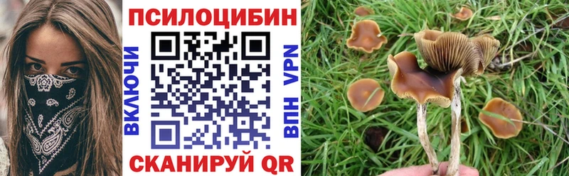 kraken как войти  Вельск  Галлюциногенные грибы Psilocybe 